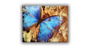 Butterfly Canvas- Frame Optional- Model #4836089