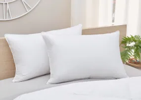 Down Decor 100% Goose Down Pillow