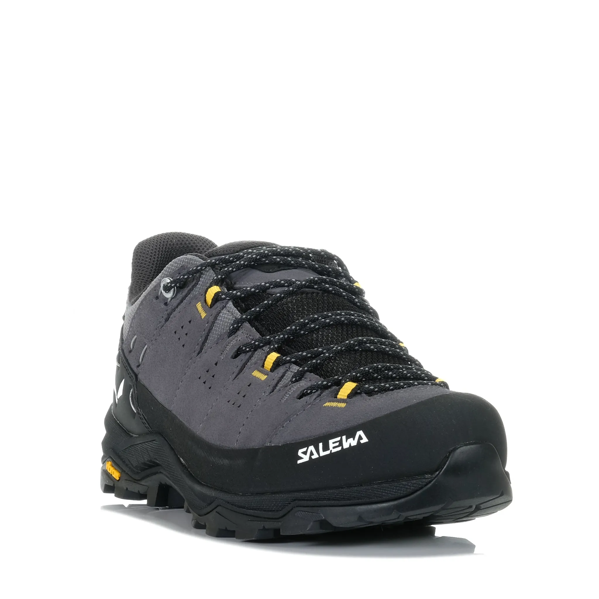 Salewa Alp Trainer 2 GTX Onyx/Black