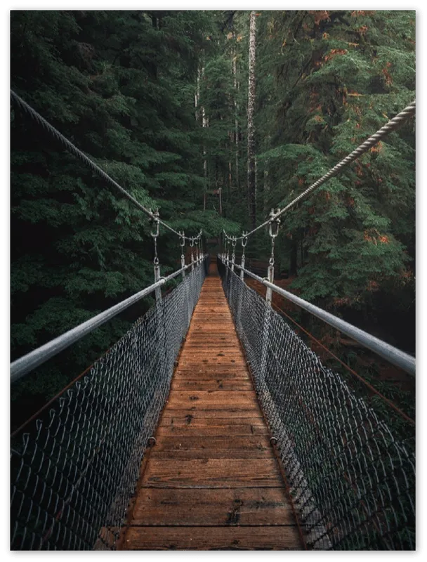 Suspension Bridge - Print