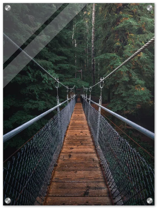 Suspension Bridge - Print