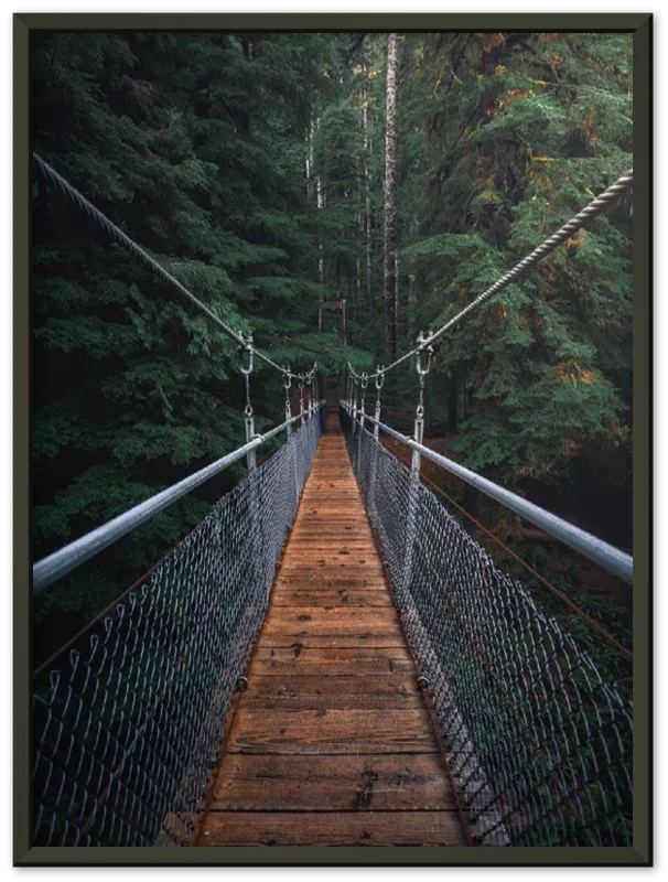 Suspension Bridge - Print