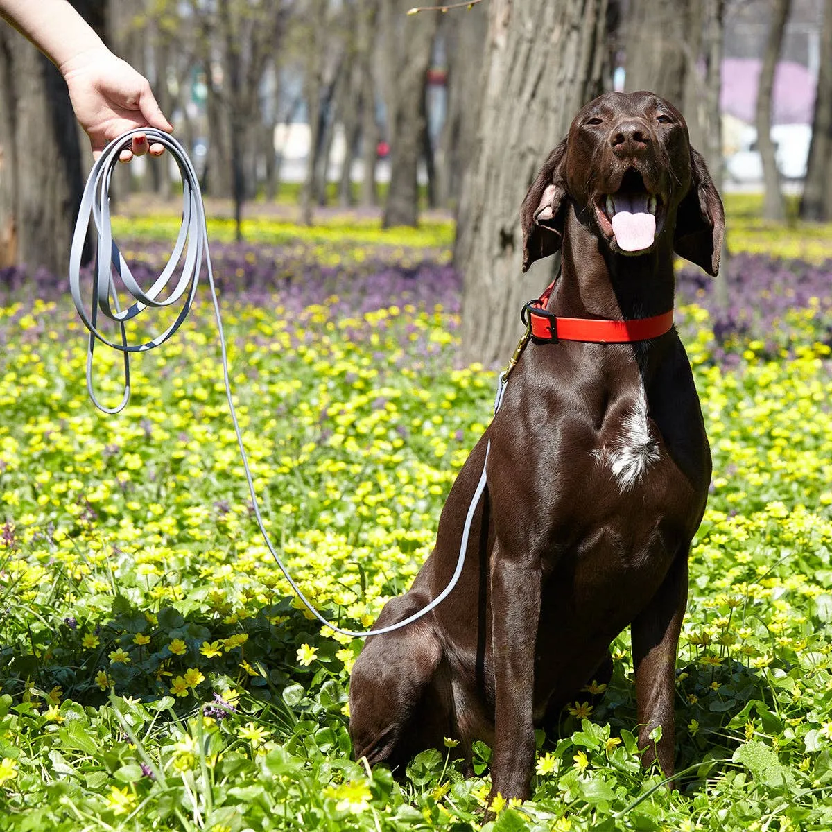 Viper Biothane Dog Leash - Working Lead