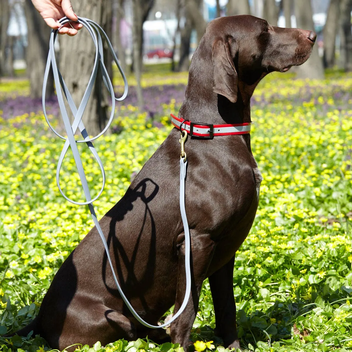 Viper Biothane Dog Leash - Working Lead